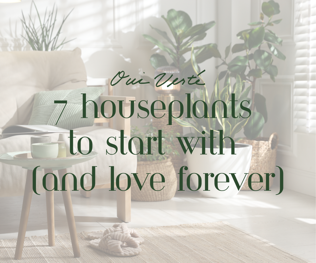 7 Houseplants to Start With (and Love Forever)