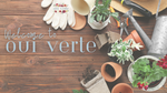 Welcome to Oui Verte! Finding Joy in Gardening, One Plant at a Time