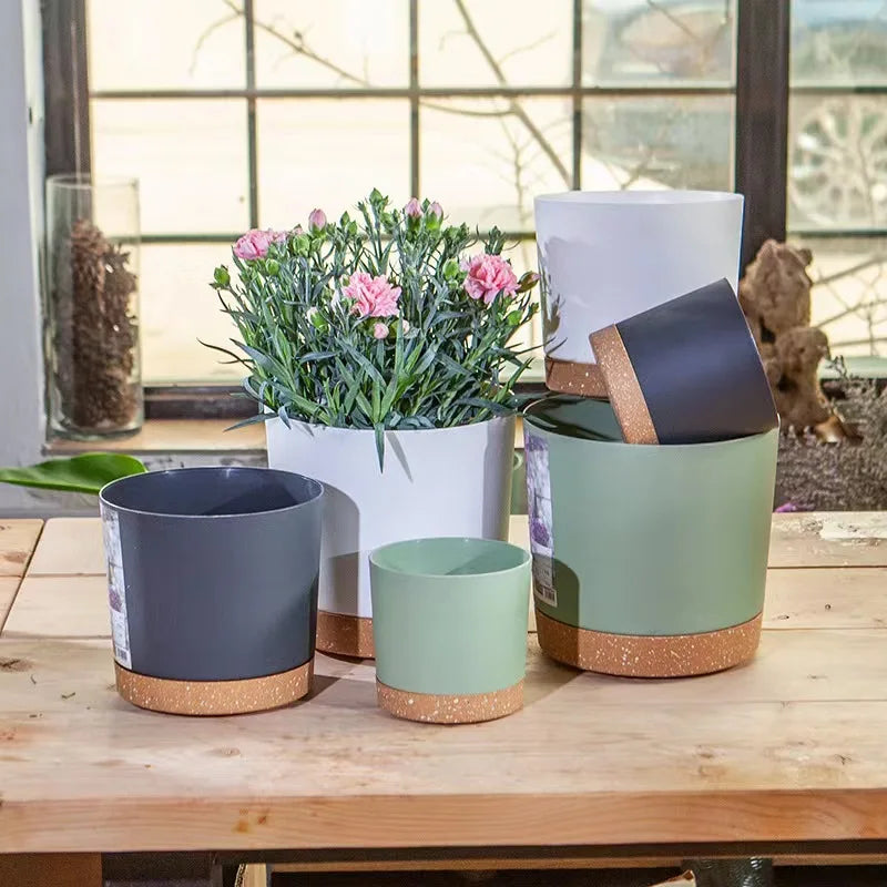 Pots & Planters