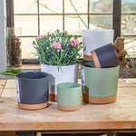 Pots & Planters