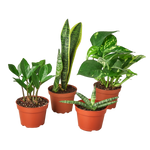 Easy Care  Bundle
