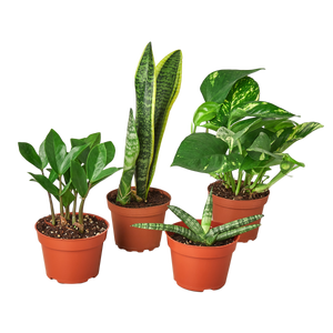Easy Care  Bundle