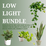 Low Light Bundle