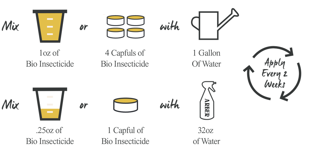 Organic Bio Insecticide - Arber