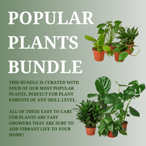 Popular Plants Bundle